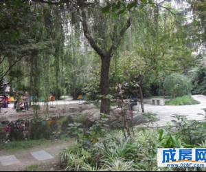 锦桂苑-外观环境图