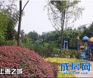建川丽水青城桂院-外观环境图